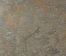 1198.thumb